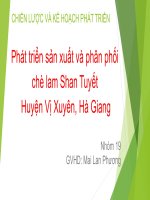 CHIẾN lược và kế HOẠCH PHÁT TRIỂN