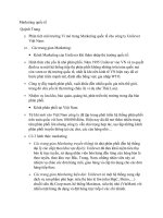 Marketing quốc tế Unilever