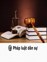 Pháp luật dân sự