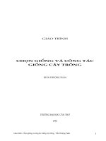 Chọn Giống Và Công Tác chọn giống cây Trồng_Trần Thượng Tuấn
