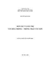 Bản sắc và giá trị văn hóa trống - trống trận Tây Sơn