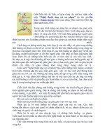 Nghe thuat ung xu su pham