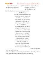 Đề thi học kỳ 1 môn Ngữ văn lớp 10 trường THPT Hàm Giang, Trà Vinh năm 2015 - 2016