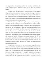 Tác động của chính sách phi thực hóa đối với đông dương