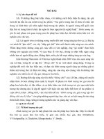 Tóm tắt luận văn thạc sĩ: Hình tượng tác giả trong tập thơ Bóng chữ của Lê Đạt