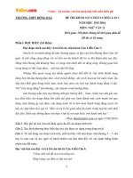 Đề thi khảo sát chất lượng môn Ngữ văn lớp 11 trường THPT Đồng Đậu, Vĩnh Phúc năm 2015 - 2016 (Lần 1)