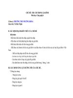 SAN PHAM CHUYEN DE chủ đề thu chi   trong gia đình