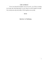 Đào tạo, bồi dưỡng cán bộ, công chức cấp huyện là người dân tộc thiểu số của huyện mộc châu tỉnh sơn la