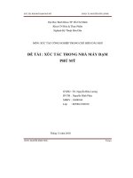 Đề tài xúc tác trong nhà máy đạm phú mỹ  luận văn, đồ án, đề tài tốt nghiệp