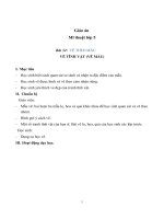 Giáo án Mỹ thuật lớp 5