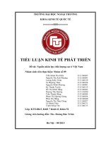 Tiểu luận KTPT Nguồn nhân lực CLC tại việt nam