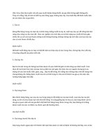 12 cay duoi muoi  hay ban nen tham khao