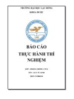 luutulinh nhom2 15DS511