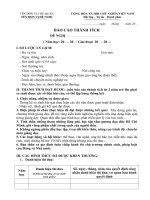 5  mau bao cao thanh tich ca nhan