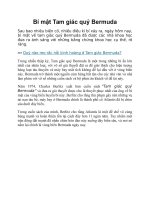 Bí mật tam giác quỷ Bermuda