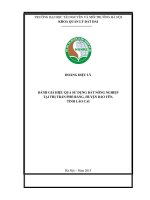 Đánh giá hiệu quả sử dụng đất nông nghiệp trên địa bàn thị trấn phố ràng, huyện bảo yên, tỉnh lào cai 