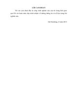 Nâng cao công tác đào tạo và phát triển nguồn nhân lực tại công ty cổ phần tư vấn du học ANZ