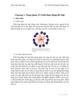 Chất hoạt động bề mặt  Tiểu luận Công nghệ tổng hợp hợp chất trung gian  Nguyễn Hồng Liên  ĐHBKHN