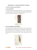 Giải bài tập trang 49 SGK Sinh học lớp 7: Giun đũa