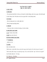 Giáo án Sinh học lớp 7 bài Giun đũa