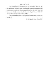 Giải pháp nâng cao chất lượng nguồn nhân lực ở sở nội vụ thành phố ninh bình