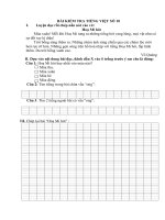 BÀI KIỂM TRA TIẾNG VIỆT SỐ 10