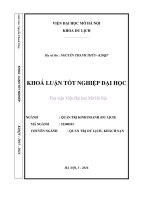 Giải pháp thu hút thị trường khách du lịch ấn độ đến việt nam 