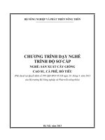 chương trình dạy trung cấp nghề sản xuất