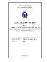 Nghiên cứu chủng vi khuẩn có khả năng tạo chất hoạt động bề mặt sinh học cao nhằm ứng dụng xử lý đất nhiếm CADIMI 
