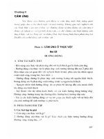 Phương pháp giải các dạng bài tập sinh học 11 phần 2 