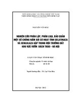 Nghiên cứu phân lập, phân loại, bảo quản một số chủng nấm sợi có hoạt tính gelatinaza và xenlulaza gặp trong môi trường đất khu vực vườn bách thảo   hà nội 