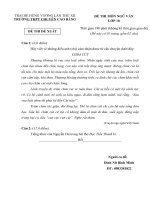 Ngữ văn 10 đề, đáp án trại hè hùng vương lần thứ XII năm 2016 trường chuyên CAO BẰNG 