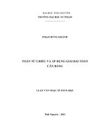 Toán tử chiếu và áp dụng giải bài toán cân bằng 