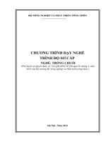 chuong trinh day nghe chi tiet 12