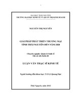 Giải pháp phát triển thương mại tỉnh thái nguyên đến năm 2020 