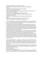 Bài viết số 2 lớp 11 đề 2