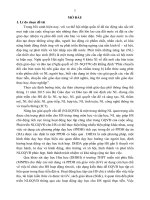 Vận dụng dạy học dự án trong dạy học phần Hóa học hữu cơ nhằm phát triển năng lực giải quyết vấn đề cho học sinh ở trường Trung học phổ thông miền núi phía Bắc