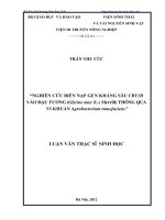 Nghiên cứu biến nạp gen kháng sâu cry1b vào đậu tương (glycine max (l) merrill) thông qua vi khuẩn agrobacterium tumefaciens 