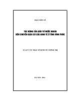 LUẬN văn tốt NGHIỆP   tác ĐỘNG của tư nước NGOÀI đến CHUYỂN DỊCH cơ cấu KINH tế TỈNH VĨNH PHÚC HIỆN NAY