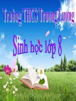 Tiet 28   bai 27 tieu hoa o da day