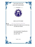 Hoàn thiện quy trình công nghệ sản xuất nước quả táo mèo dạng trong 