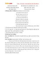 Đề thi học kỳ I môn Ngữ văn lớp 11 trường THPT Định Thành, Bạc Liêu năm học 2015 - 2016