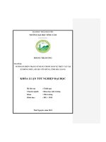 Đánh giá hiện trạng sử dụng thuốc bảo vệ thực vật tại xã đồng phúc   huyện yên dũng   tỉnh bắc giang  