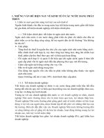 Những vấn đề hiện nay về vốn ở các nước đang phát triển