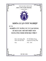 Nghiên cứu nuôi cấy và tạo màng tế bào gốc mô mỡ trên nền màng polymer sinh học PHB v 