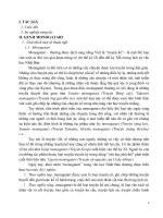 VĂN HỌC NHẬT BẢN  TRUYỀN KỲ Genji