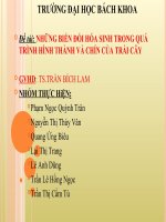 Nhung bien doi hoa sinh trong qua trinh hinh thanh va chin cua trai cay 