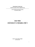 giáo trình chuẩn đoán và nội khoa thú y