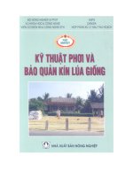 Kỹ thuật phơi và bảo quản lúa giống phần 1