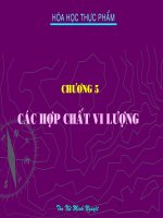 Các hợp chất vi lượng